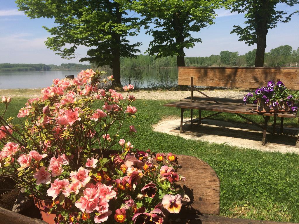 La Finestra Sul Po - Agriturismo Monticelli dʼOngina Exterior foto